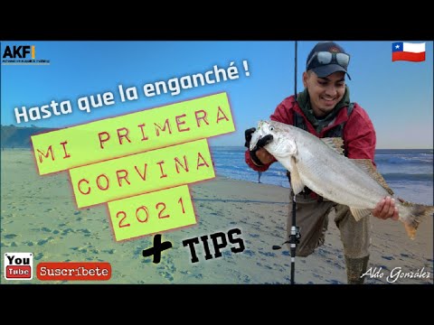 La pesca como deporte en Chile: descubre los mejores lugares y técnicas